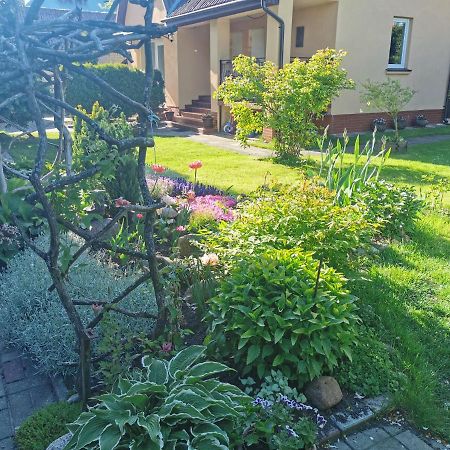 Apartament Poilsis Pas Virginija Połąga Zewnętrze zdjęcie